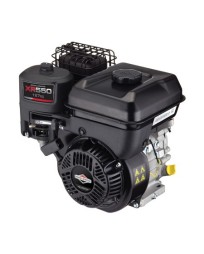 Briggs & Stratton Benzinli Motor XR550