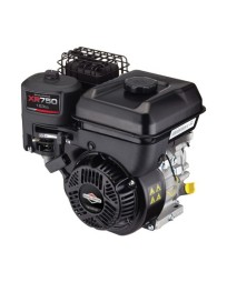 Briggs & Stratton Benzinli Motor XR750