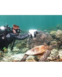 Asiwo Manta Su Altı Scooter- Tek Batarya 126WH -Turuncu