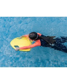 Asiwo Mako Elektrikli Yüzme Tahtası-Mavi